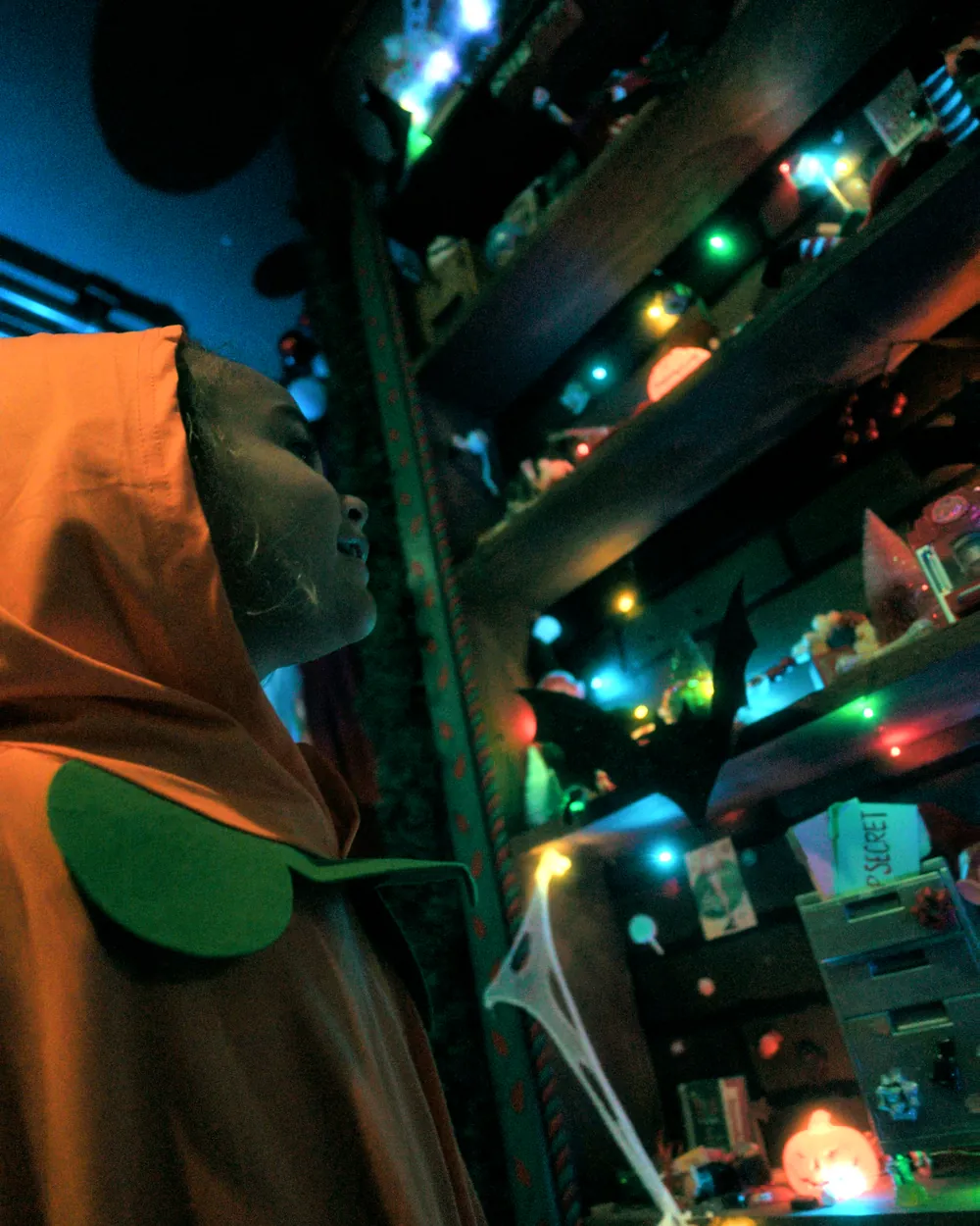 Sally in her laboratory at Halloween at the North Pole, photo 7
