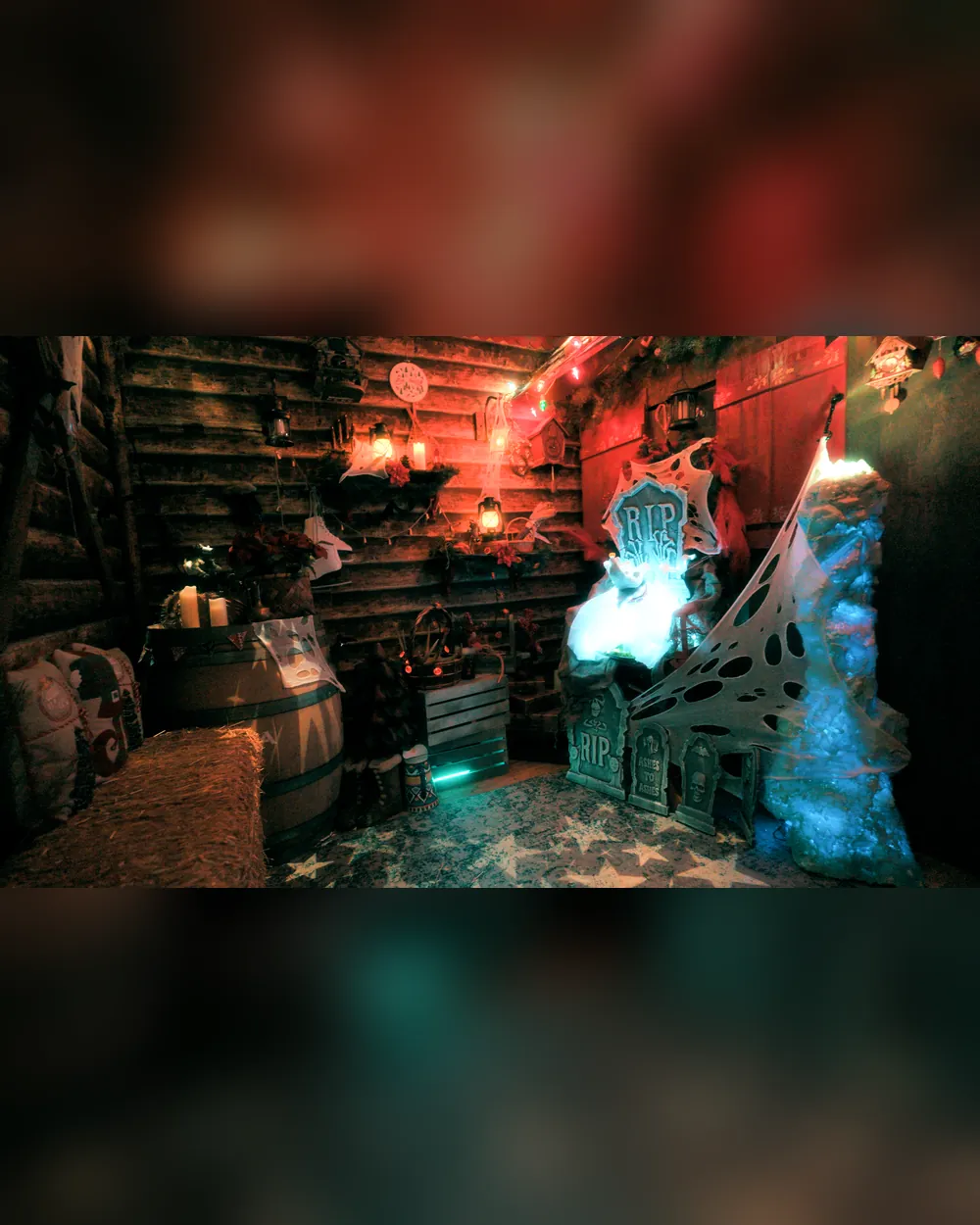 Zero in Santa's reindeer barn at Halloween at the North Pole, photo 3