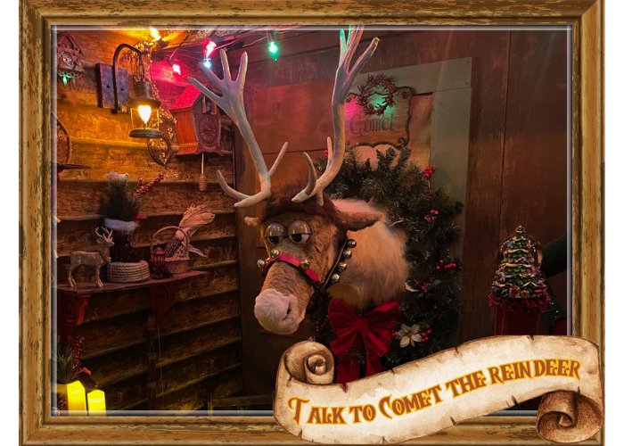 Comet the talking reindeer in Santa&rsquo;s barn at Once Upon a Christmas